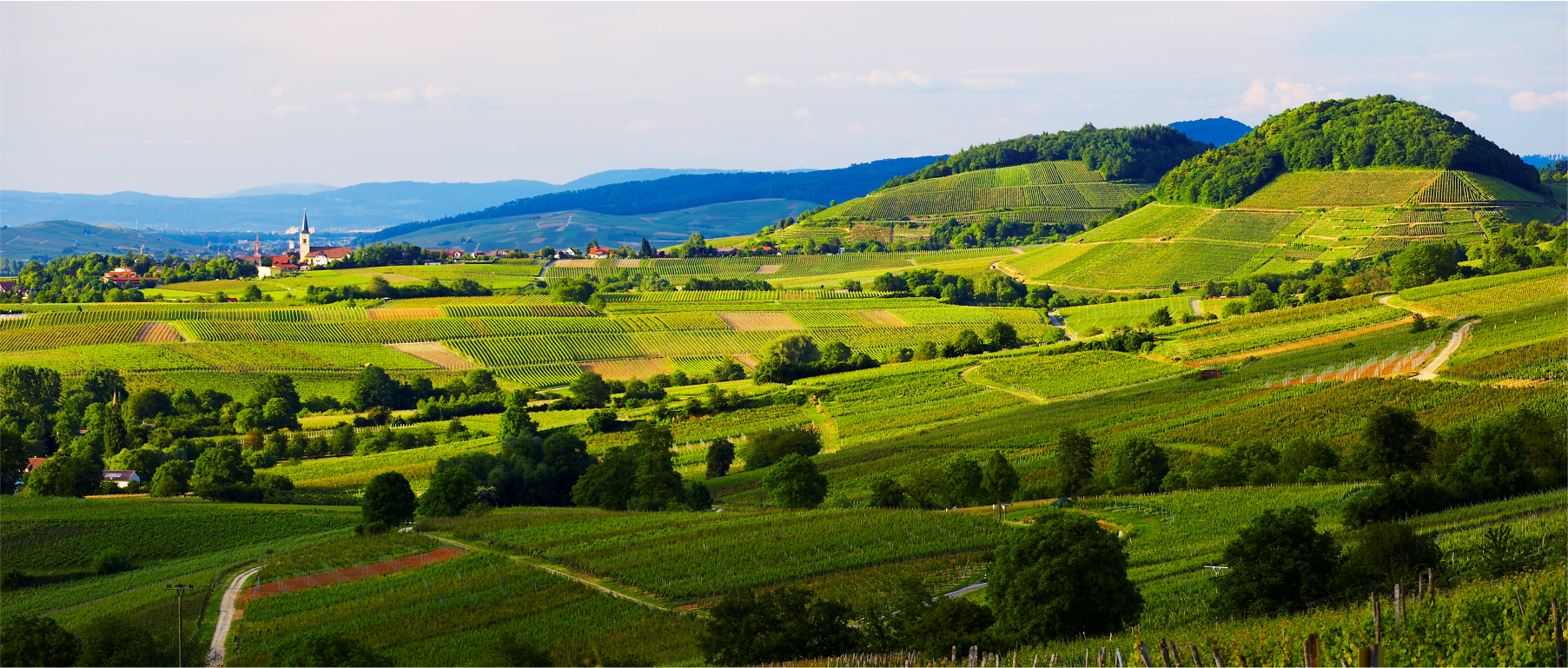 Blick ins Margräflerland