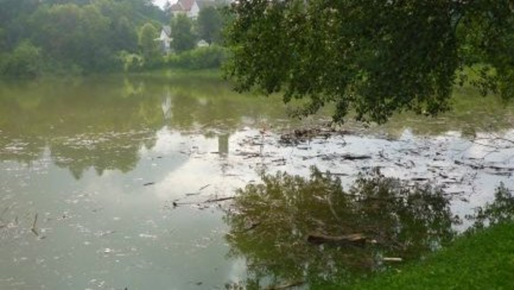 Überflutete Fläche