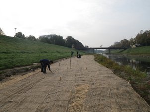 Ufersicherung durch Wasserbauarbeiter durch Auslegen und Fixieren von Jutegewebe in mehreren Bahnen