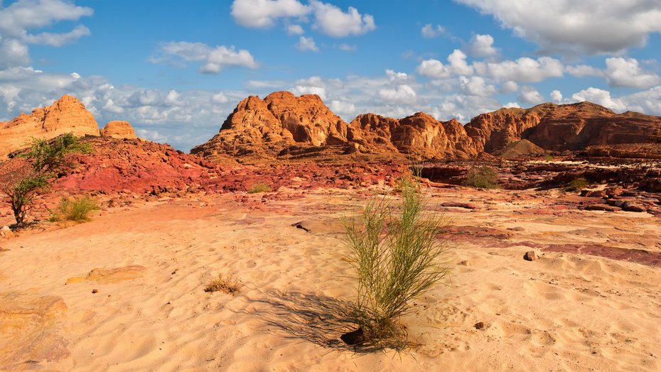 Wüstenlandschaft des Sinai