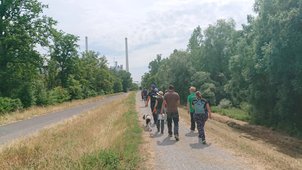 Man sieht 10 Personen von hinten, die den Damm entlanggehen. Im Hintergrund sieht man das Kraftwerk. 