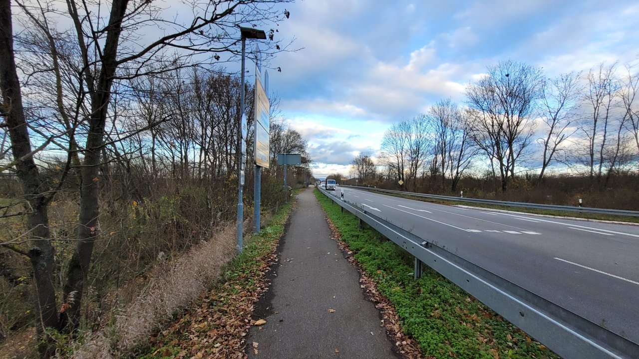 Zu rodende Bäume B 3 Radweg Bad Schönborn
