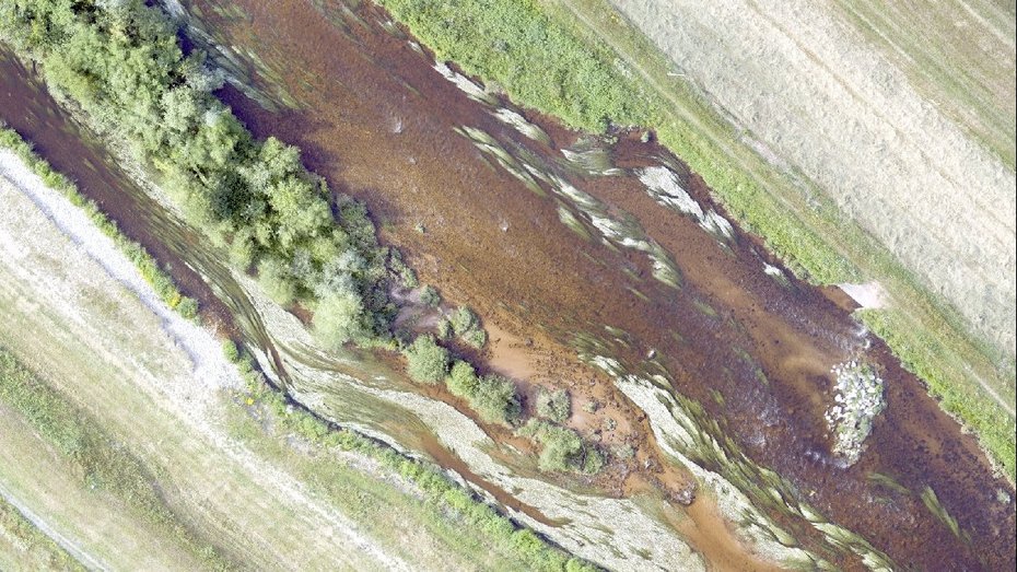 Naturnahe Flusslandschaft von oben