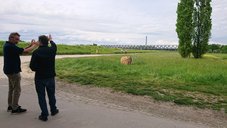 Vor Ort verständigt man sich auf die Breite des Eingriffs in die landwirtschaftliche Nutzfläche (Mai 2023) Zwei Männer stehen am Damm in der Nähe des Hofguts Maxau und zeigen im Gespräch mit den Händen entlang des Dammes. Rechts ist landwirtschaftliche Nutzfläche und zwei Pappeln. Hinten sieht man zwei Radfahrer und die Rheinbrücke.