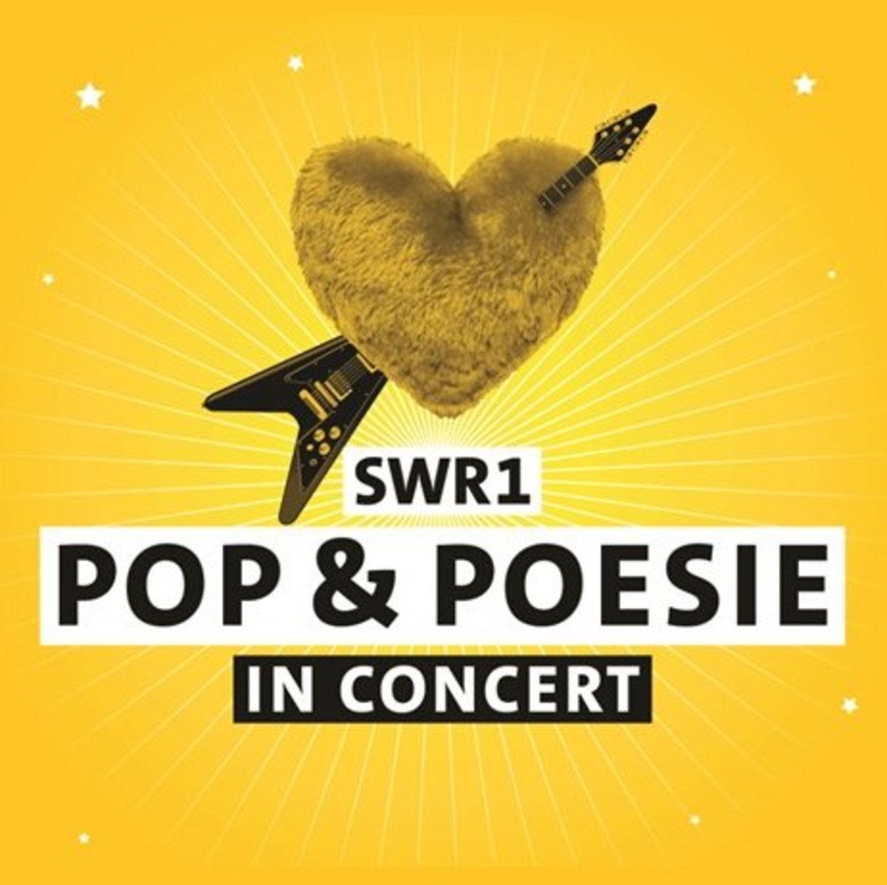 SWR1 Pop & Poesie in Concert