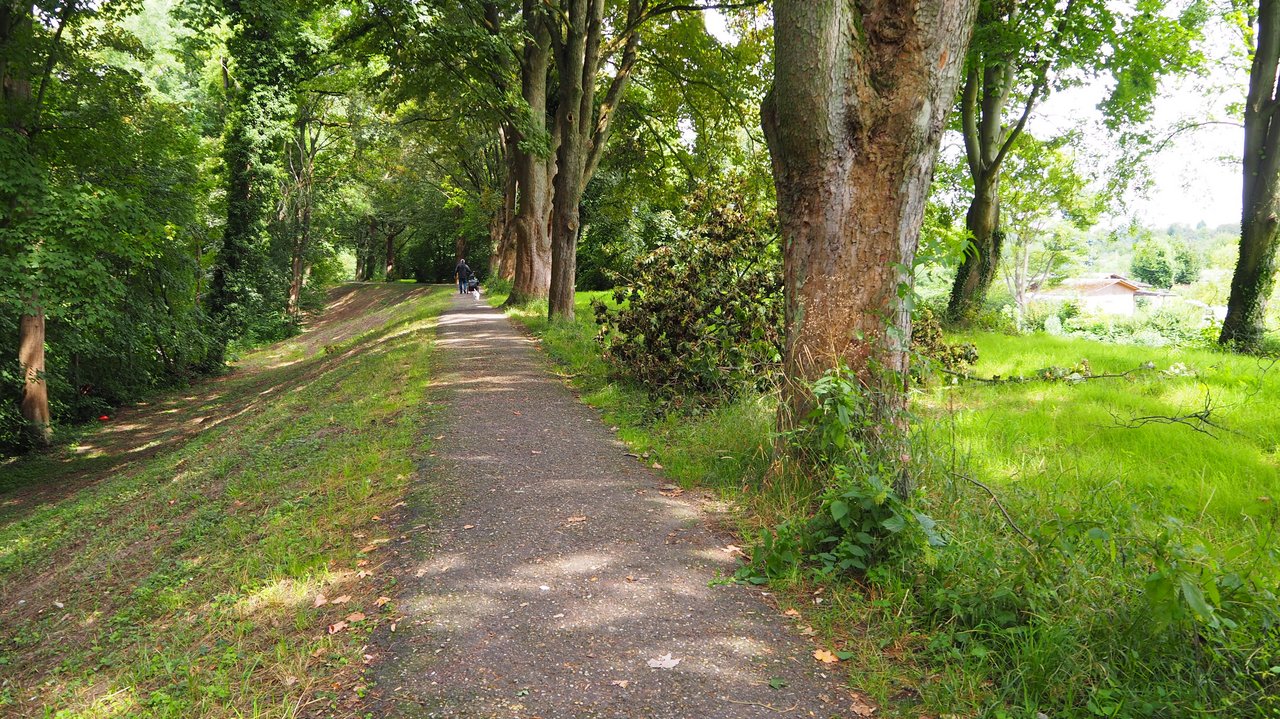 Dammverlauf in Richtung Norden