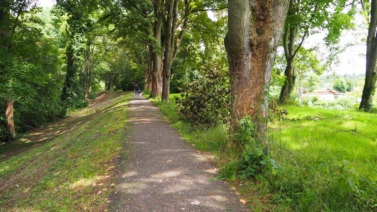 Dammverlauf in Richtung Norden