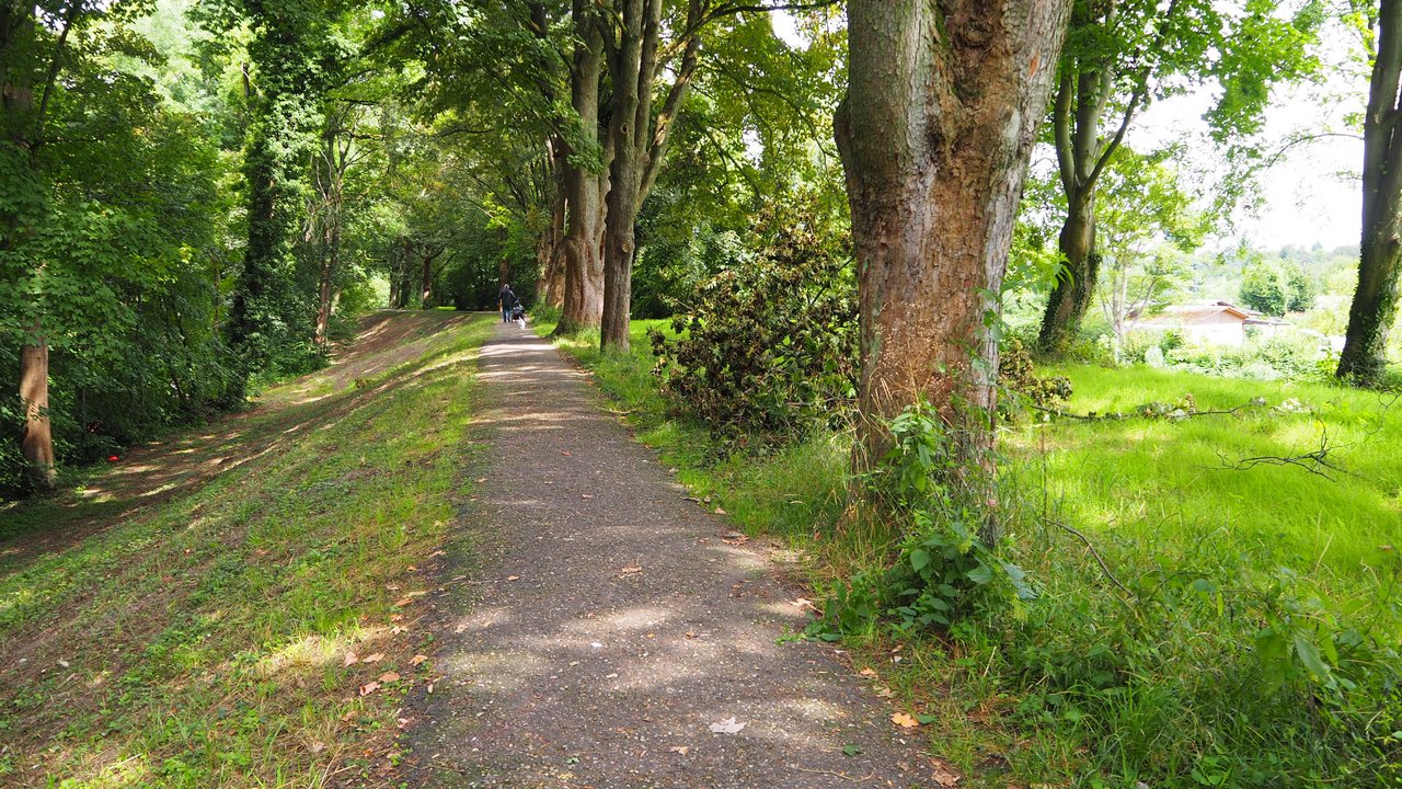 Dammverlauf in Richtung Norden