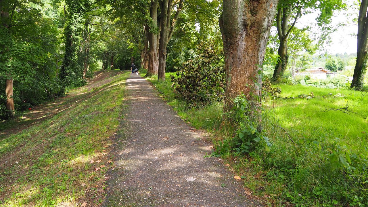 Dammverlauf in Richtung Norden