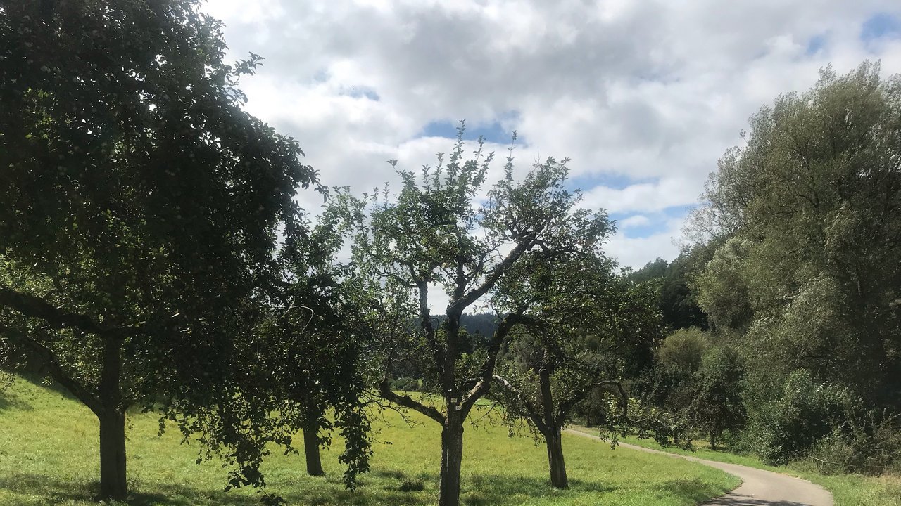 Wiesen und Streuobst im Naturschutzgebiet Mindersbacher Tal