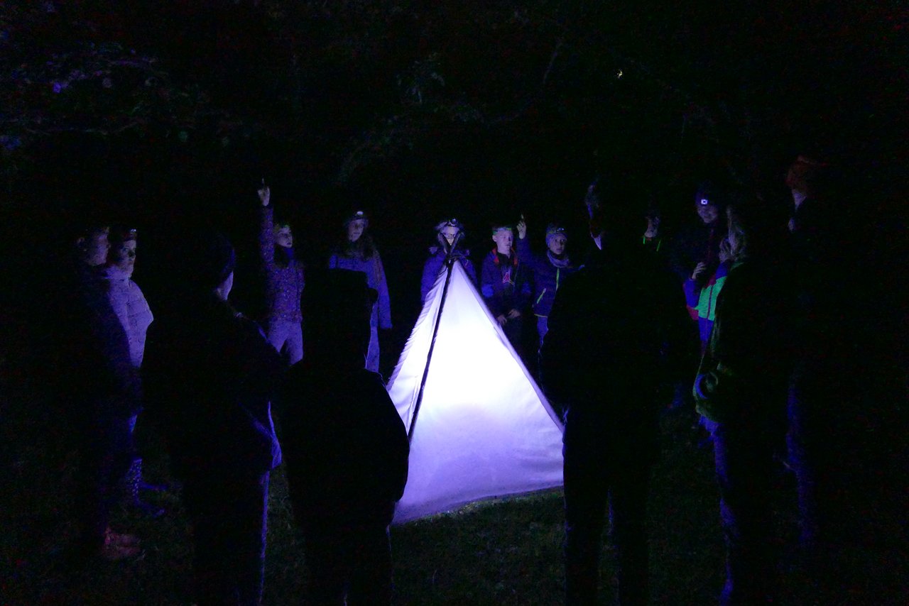 "Licht aus – Wir brauchen´s dunkel!" Auswirkungen von künstlichem Licht auf nachtaktive Tiere wie Insekten, Fledermaus & Co