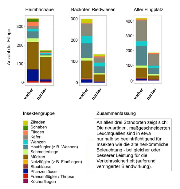 Drei Graphen zeigen die Anzahl der gefangenen Insekten an den getesteten Straßenleuchten in den Projektgebieten NSG Heimbachaue, NSG Backofen Riedwiesen und NSG Alter Flugplatz. Die Balkendiagramme vergleichen jeweils die Insektenzahl an den konventionellen Leuchten, mit der an den neuartigen Leuchten aus dem Projekt. An allen Standorten zeigen die Balken an den konventionellen leuchten etwa doppelt so viele Fänge.