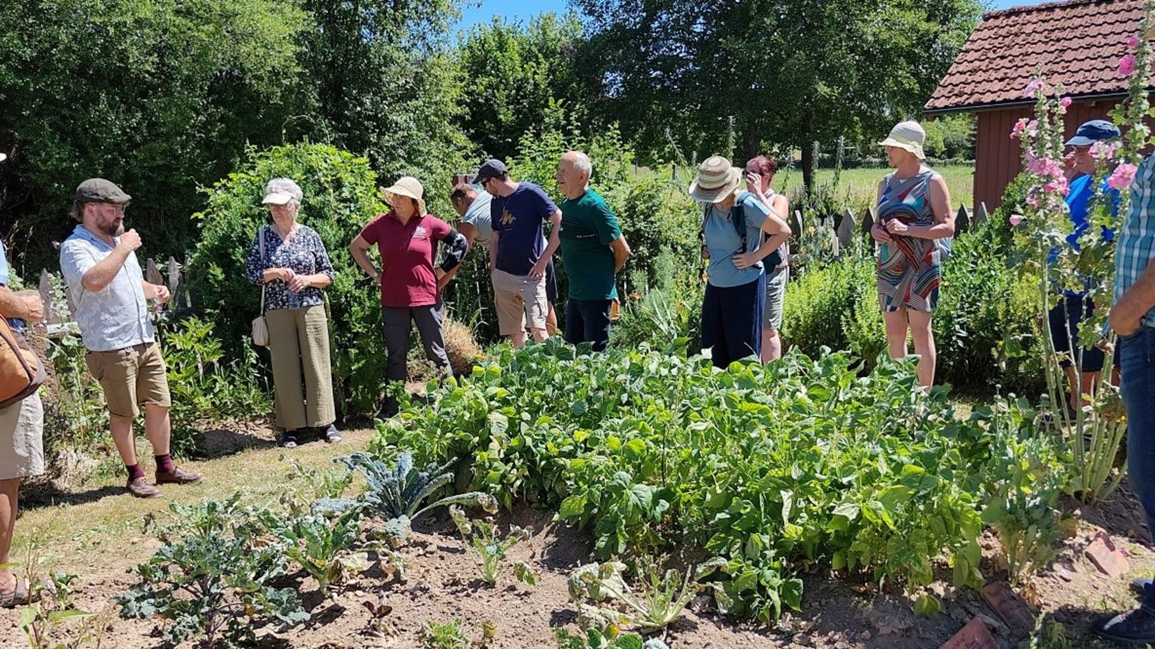 Der anschließende Ackerwildkrautspaziergang führte auch durch den Bauerngarten des Freilandmuseums. 