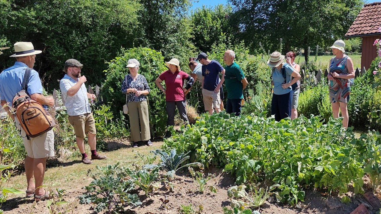 Der anschließende Ackerwildkrautspaziergang führte auch durch den Bauerngarten des Freilandmuseums. 