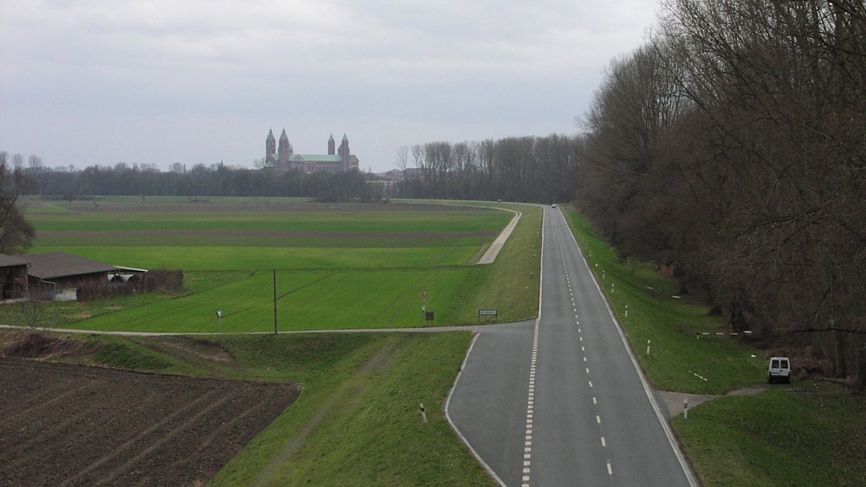 Dammertüchtigung Rheinhochwasserdamm XXXV und XXXVI