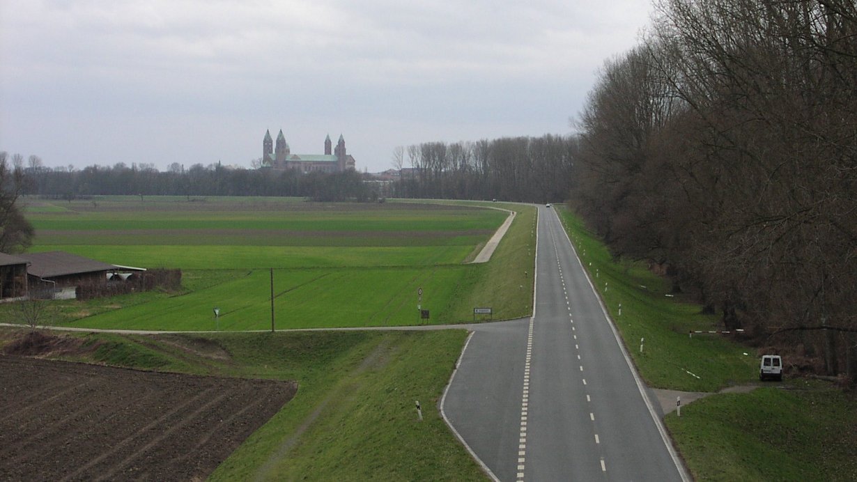 Dammertüchtigung Rheinhochwasserdamm XXXV und XXXVI