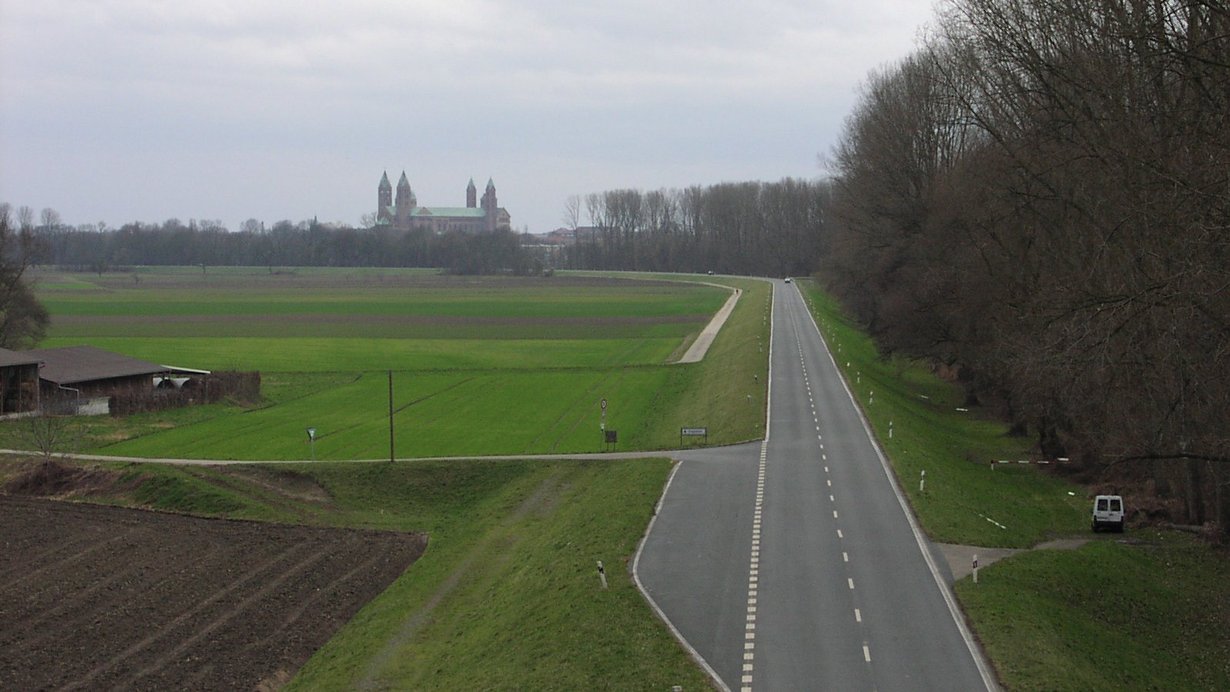 Dammertüchtigung Rheinhochwasserdamm XXXV und XXXVI