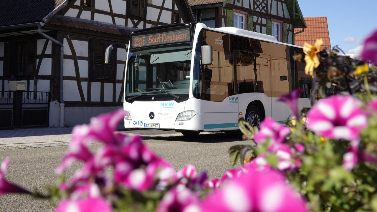 Auf diesem Bild sehen Sie einen Linienbus 231F Soufflenheim.