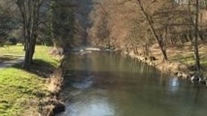 Fluss Nagold zwischen Monbachtal und Unterreichenbach; eintöniges Gewässer mit Uferverbau