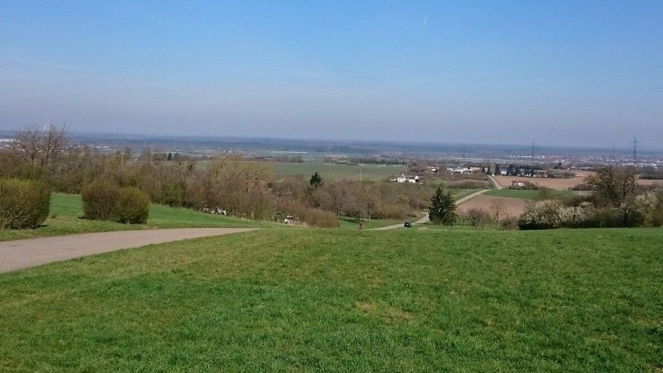 Standort Göcklesberg mit Blick in Richtung Rheinebene Standort Göcklesberg mit Blick in Richtung Rheinebene