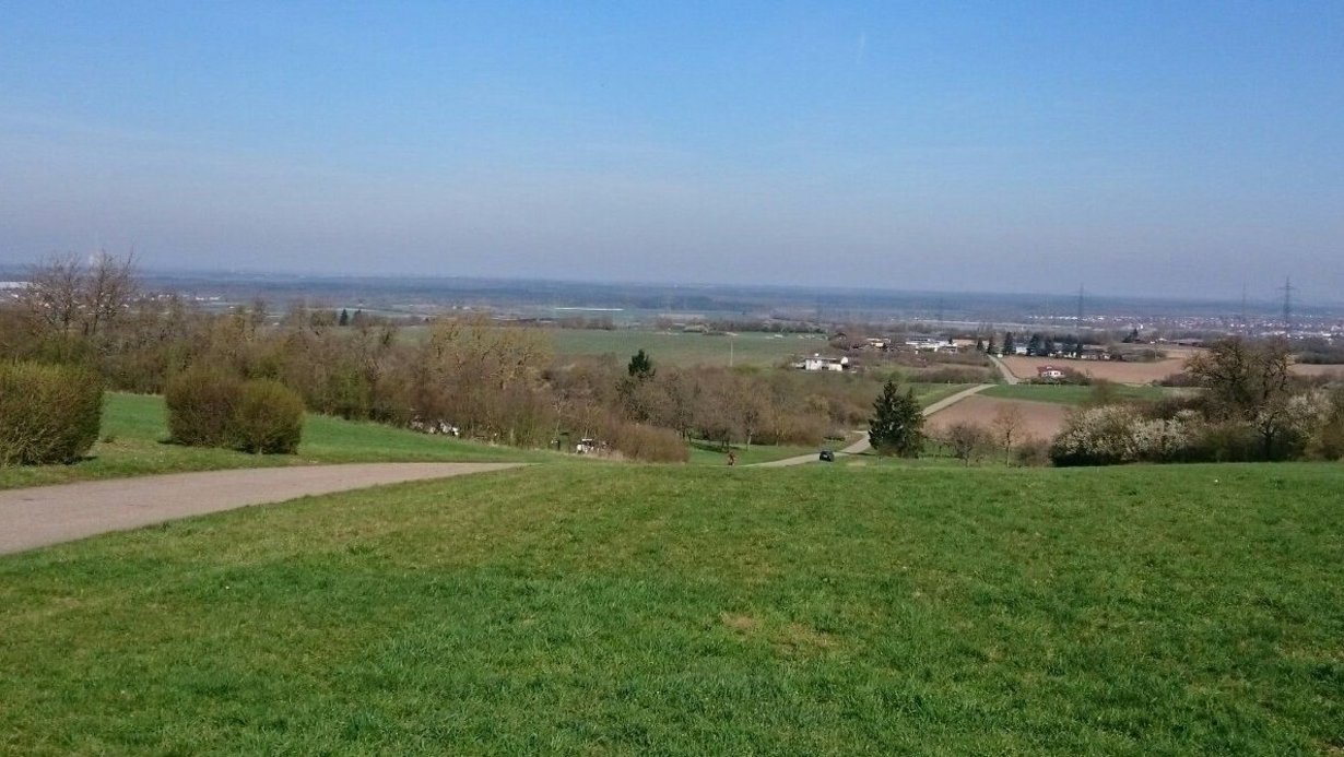 Standort Göcklesberg mit Blick in Richtung Rheinebene