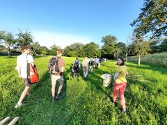 Mehrere Teilnehmer einer Veranstaltung werden von hinten gezeigt, wie sie u. a. mit Keschern ausgerüstet auf einer Wiese laufen.