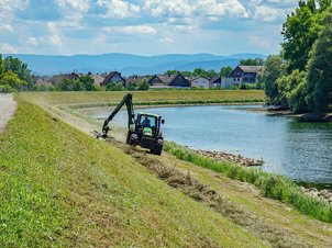 Abräumen des Mähgutes mit einem Traktor auf einem Damm