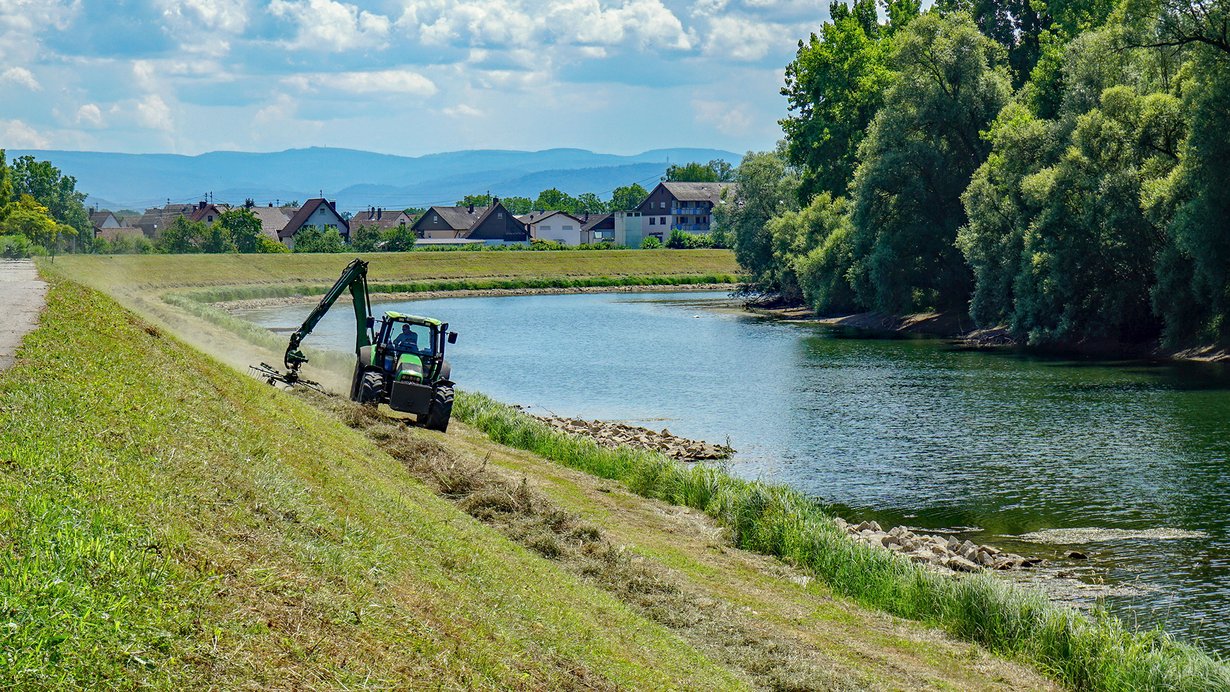 Abräumen des Mähgutes mit einem Traktor auf einem Damm