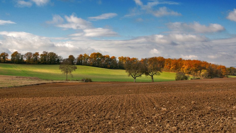 Wiesen und Felder