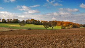 Wiesen und Felder