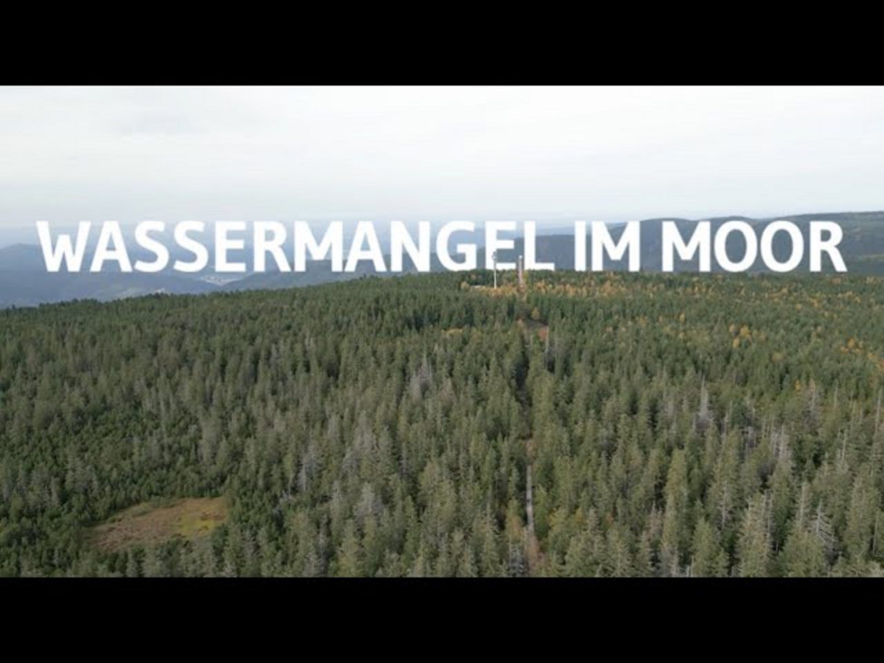 Moorrevitalisierung der Hochmoore am Kaltenbronn (MooReKa) - Erklärfilm