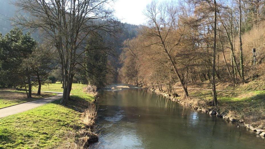 Nagold zwischen Monbachtal und Unterreichenbach Nagold zwischen Monbachtal und Unterreichenbach als eintöniges Gewässer mit Uferverbau