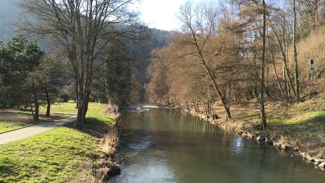 Nagold zwischen Monbachtal und Unterreichenbach als eintöniges Gewässer mit Uferverbau