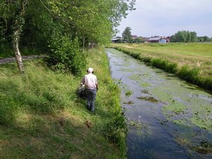 Böschungsmahd mit Vordermäher durch einen Wasserbauarbeiter an einer Uferböschung