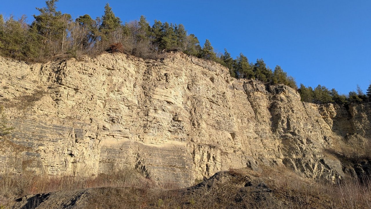 Der Fransen-Enzian wächst auf sonnigen, lückigen Magerrasen. Er steht auf der Vorwarnliste der Roten Liste aussterbender Arten Baden-Württemberg und hat eine hohe naturschutzfachliche Bedeutung. 
