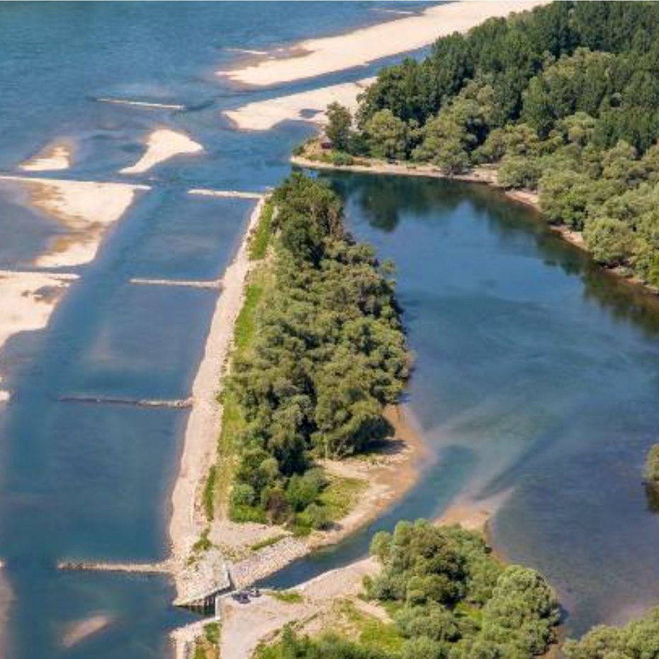 Rhein und Illinger Altrhein auf Höhe Lauterbourg