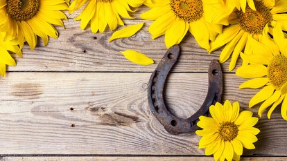 Sonnenblumen und Hufeisen Sonnenblumen mit rostigem Hufeisen auf alten Holzbrettern