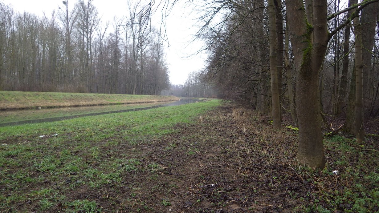 Pfinzentlastungskanal