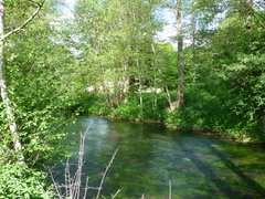 Lebensraum Fließgewässer mit flutender Wasservegetation mit umgebenden Auwald