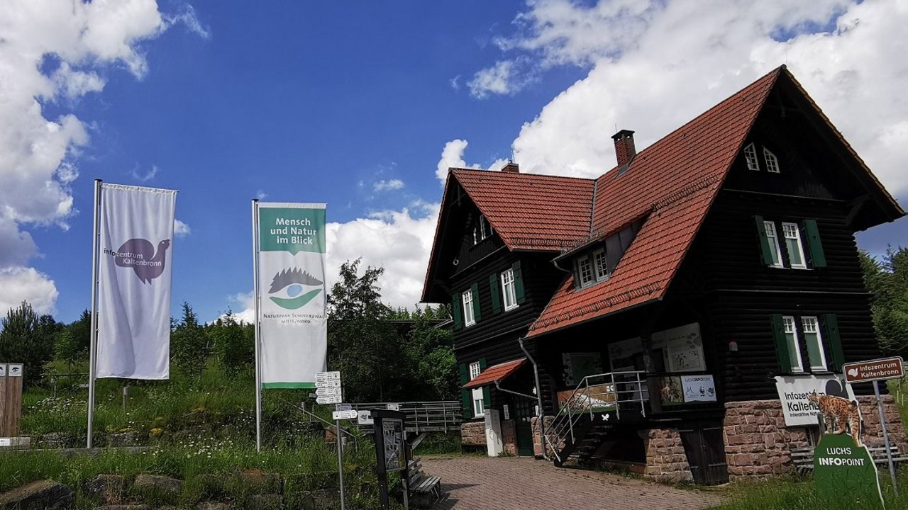 Die Ausstellung „Bauen im Moor: für eine wasserreiche Zukunft“ wird am Fr, 28.11 im Infozentrum Kaltenbronn eröffnet