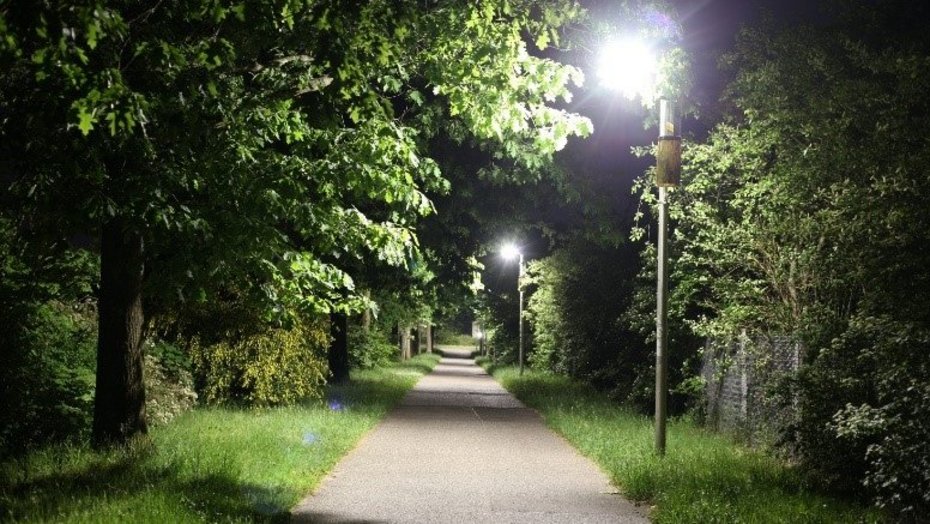 Projekt NaturLicht Standort Naturschutzgebiet Alter Flugplatz, Karlsruhe mit Insektenfallen an den Lampen
