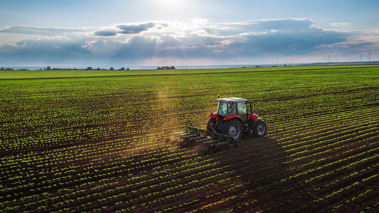 Traktor auf Feld Traktor auf einem Feld