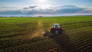 Traktor auf Feld Traktor auf einem Feld