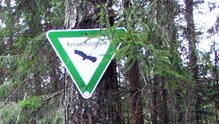 Naturschutzgebiet-Schild am Wildsee