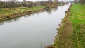 Abbildung 1: Neckar bei Neuostheim; eintönige geradlinige Uferstruktur