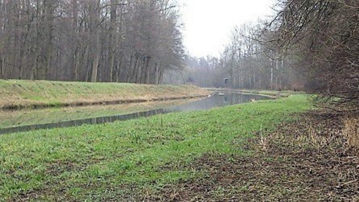 Pfinzentlastungskanal