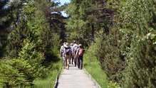 Erholung - Wanderer am Kaltenbronn