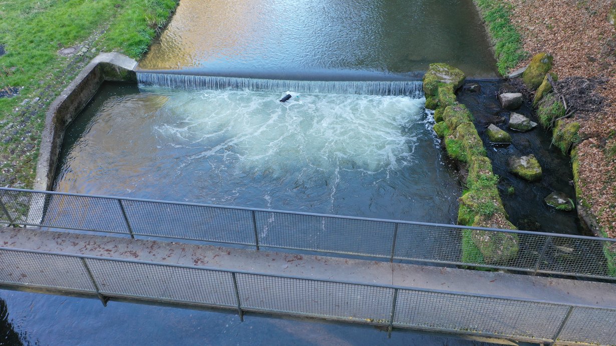 Auf dem Foto ist die Würm in Pforzheim zu sehen. Oben ist die Schwelle des Pegels zu sehen, unten im Bild ein Steg. Auf der im Bild rechten Seiten ist das in Fließrichtung linke Ufer mit der heutigen Rauen Rampe zu sehen.