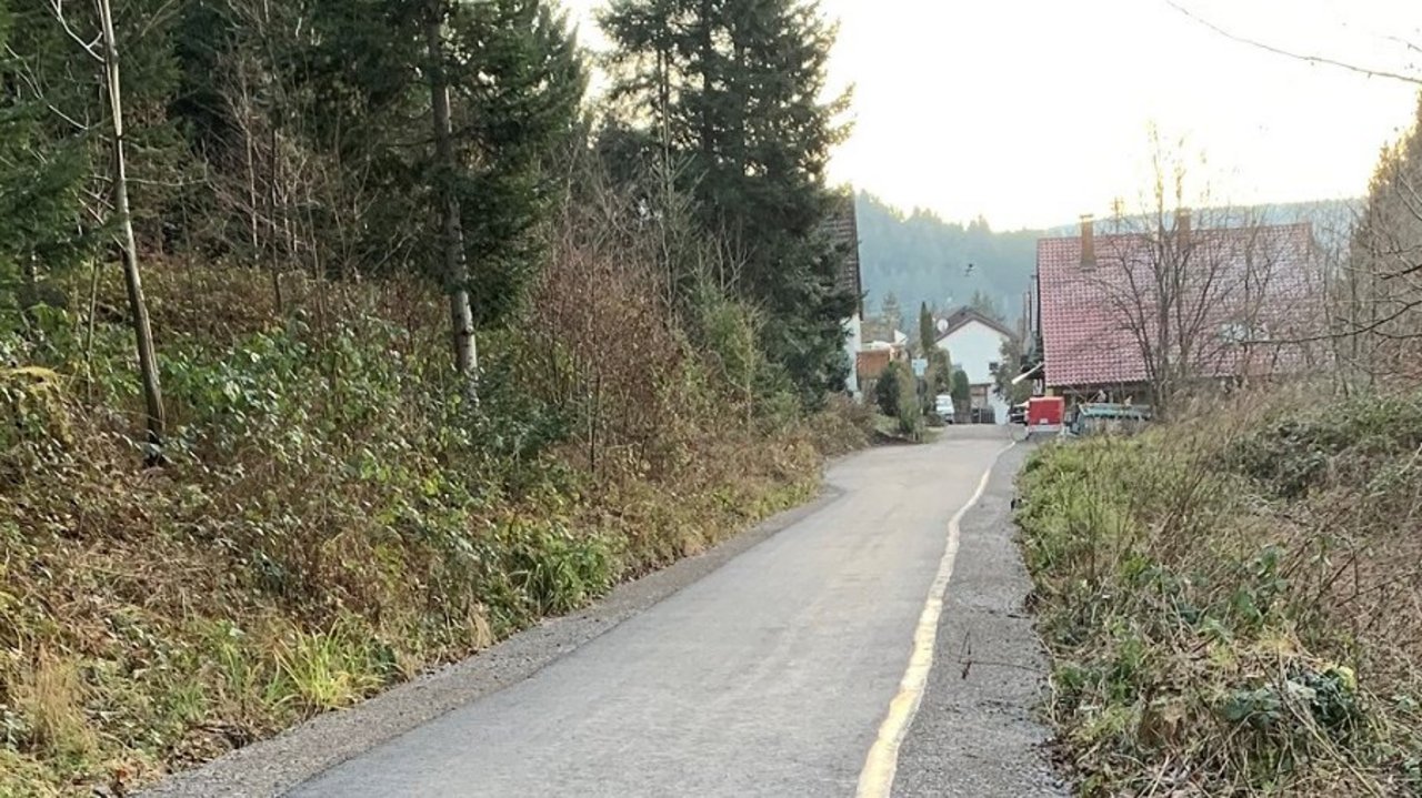 Albtalradweg kurz vor Marxzell