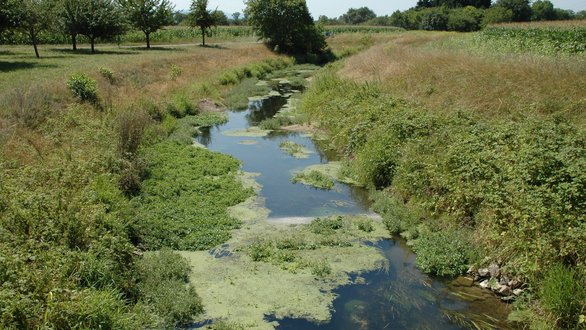 Im Bereich der Hofwaldschlut umgestalteter Riedkanal 